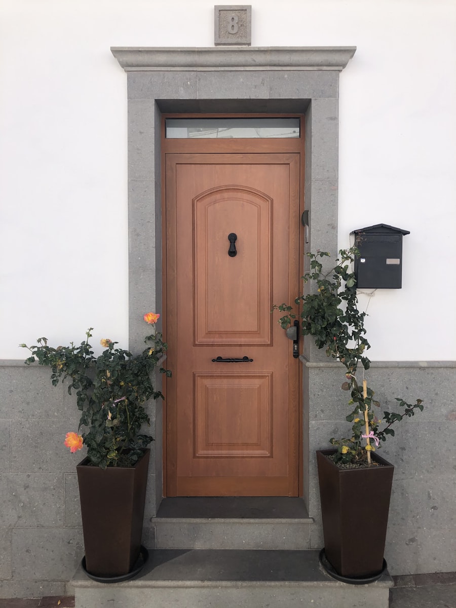 Doors project photo