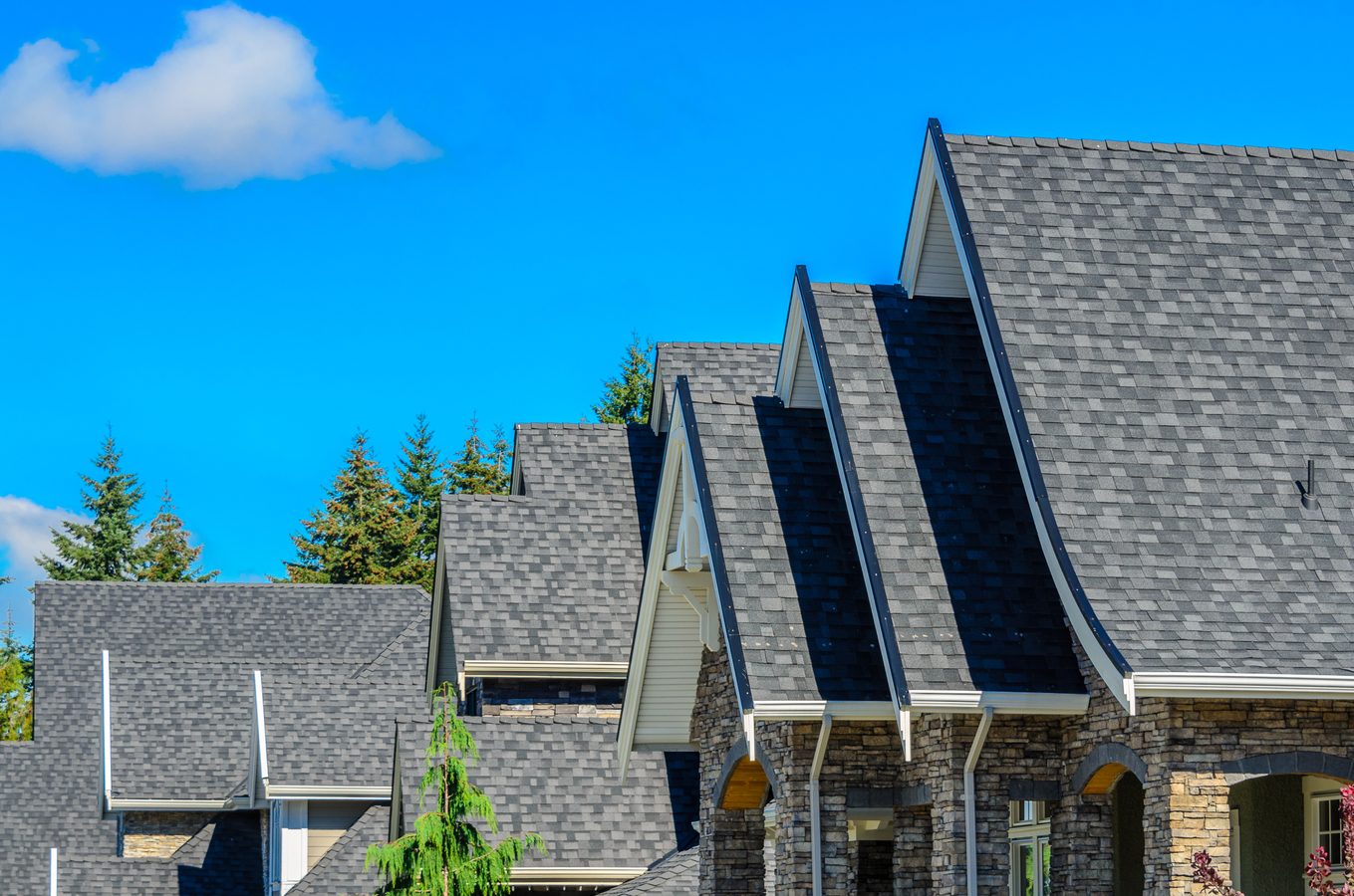 Roof Replacement project photo